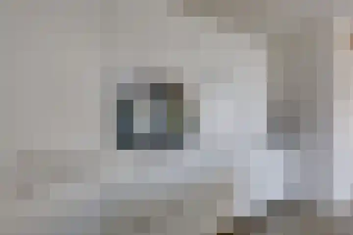 Korte Loef 18 Malden thumbnail 10