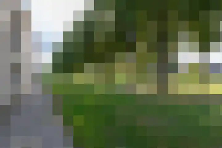 Korte Loef 18 Malden thumbnail 28