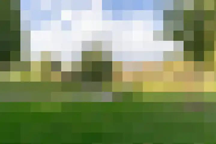 Korte Loef 18 Malden thumbnail 29