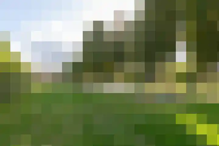 Korte Loef 18 Malden thumbnail 32