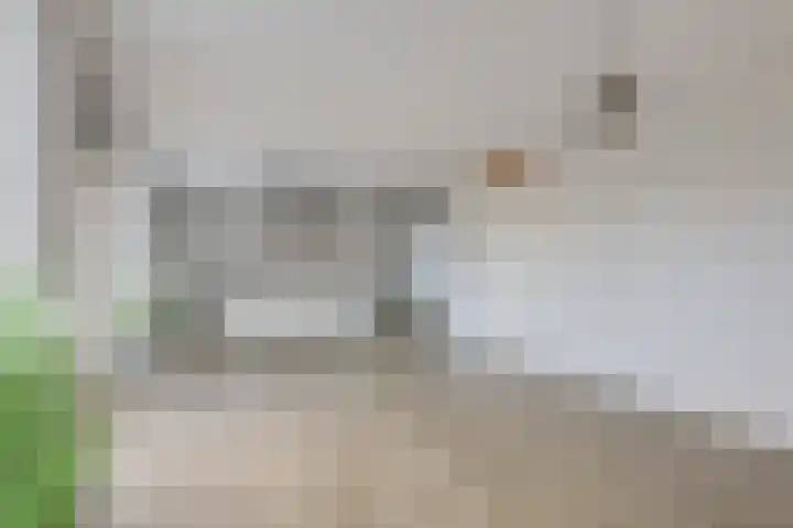 Korte Loef 18 Malden thumbnail 6