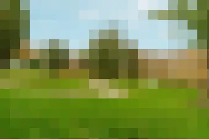 Korte Loef 30 Malden thumbnail 37