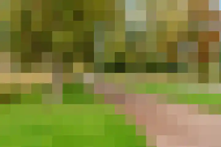 Korte Loef 30 Malden thumbnail 38