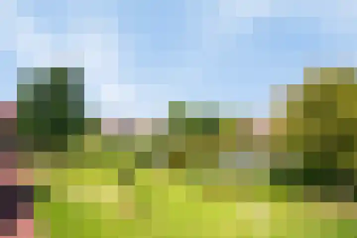Korte Loef 34 Malden foto 2