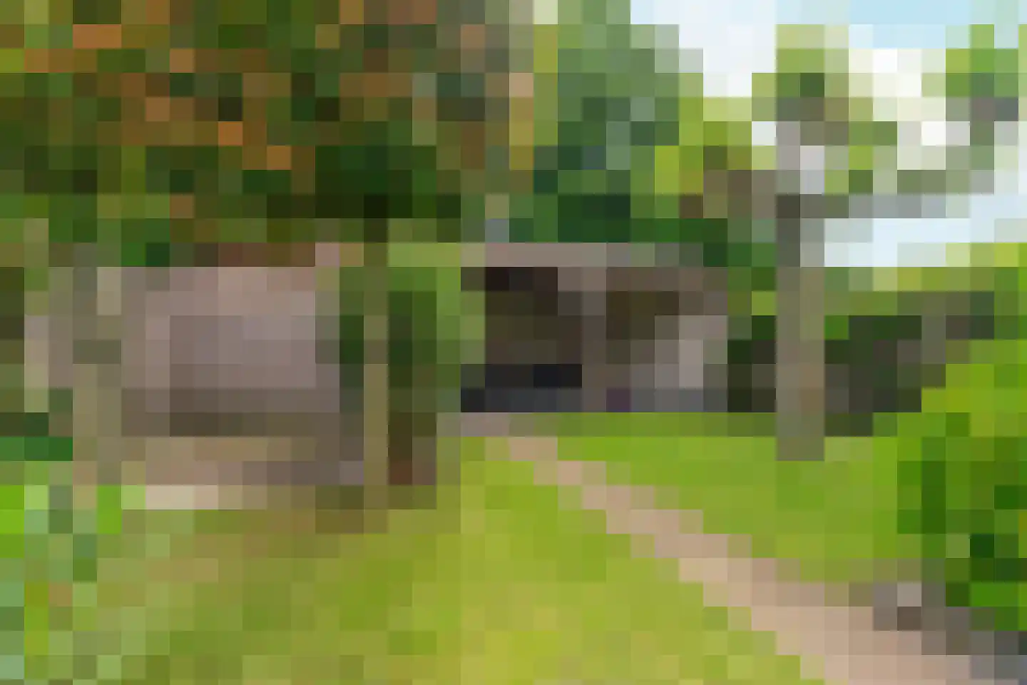 Korte Loef 54 Malden thumbnail 5