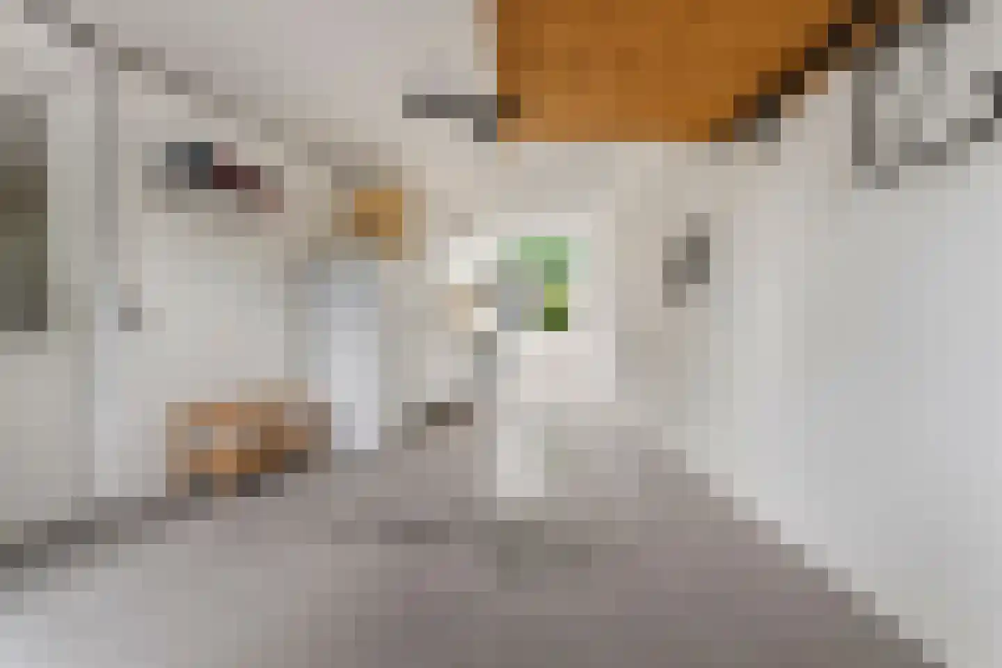 Korte Loef 54 Malden thumbnail 51