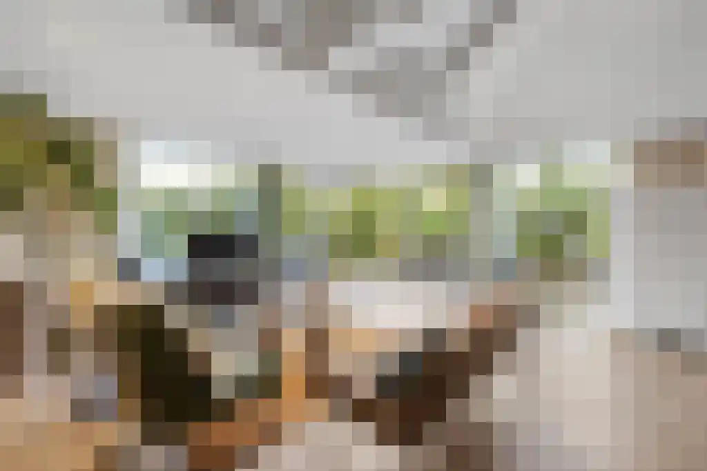 Korte Loostraat 58 Huissen thumbnail 14