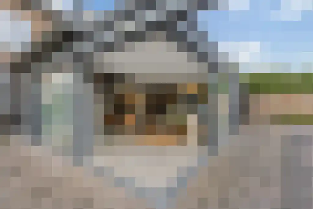 Korte Loostraat 58 Huissen thumbnail 16