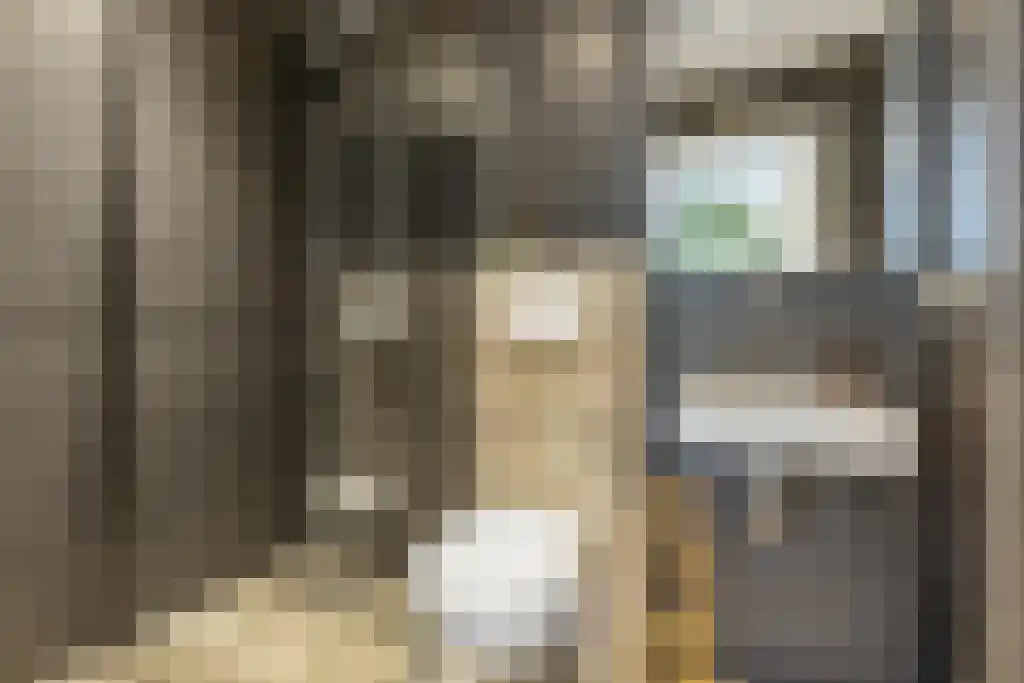 Korte Loostraat 58 Huissen thumbnail 17