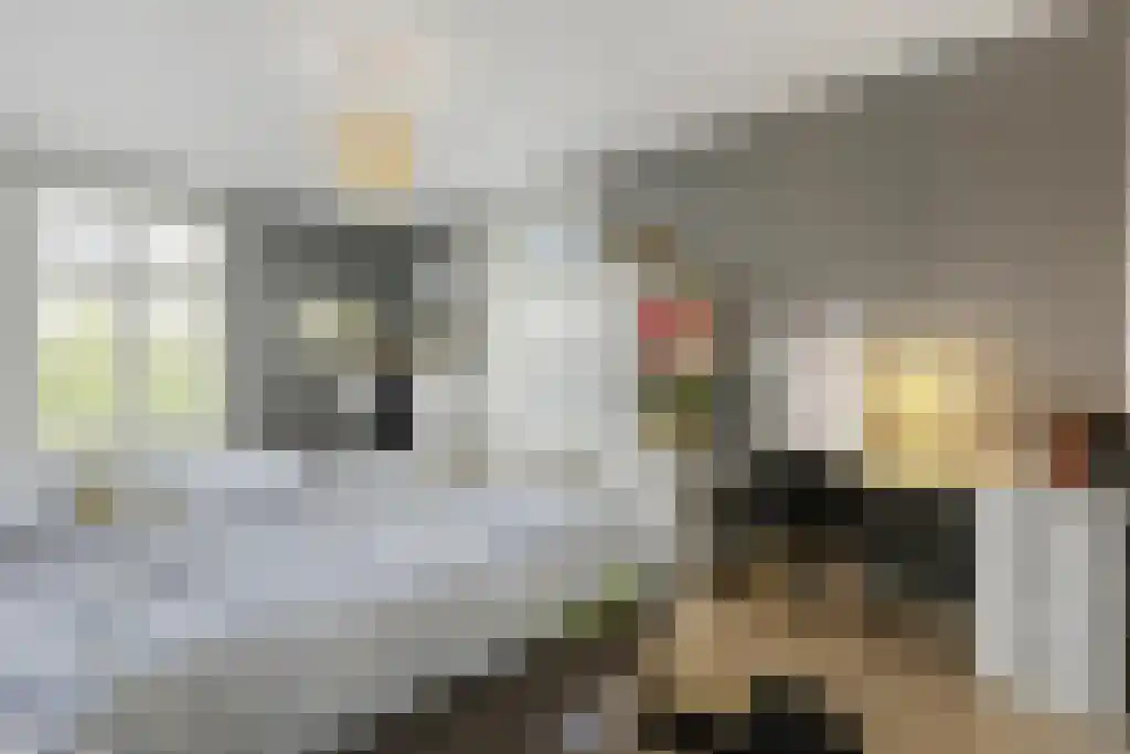 Korte Loostraat 58 Huissen thumbnail 26