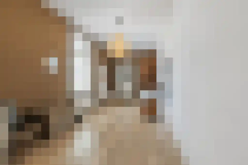 Korte Loostraat 58 Huissen thumbnail 27