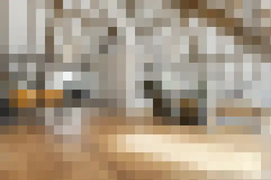 Korte Loostraat 58 Huissen thumbnail 32