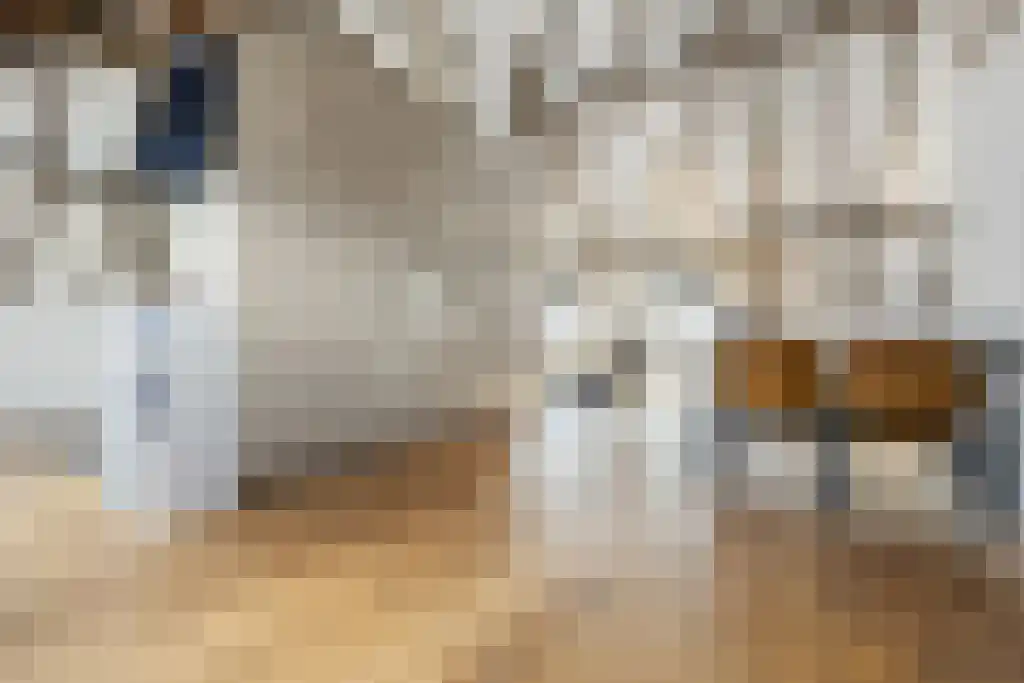 Korte Loostraat 58 Huissen thumbnail 33