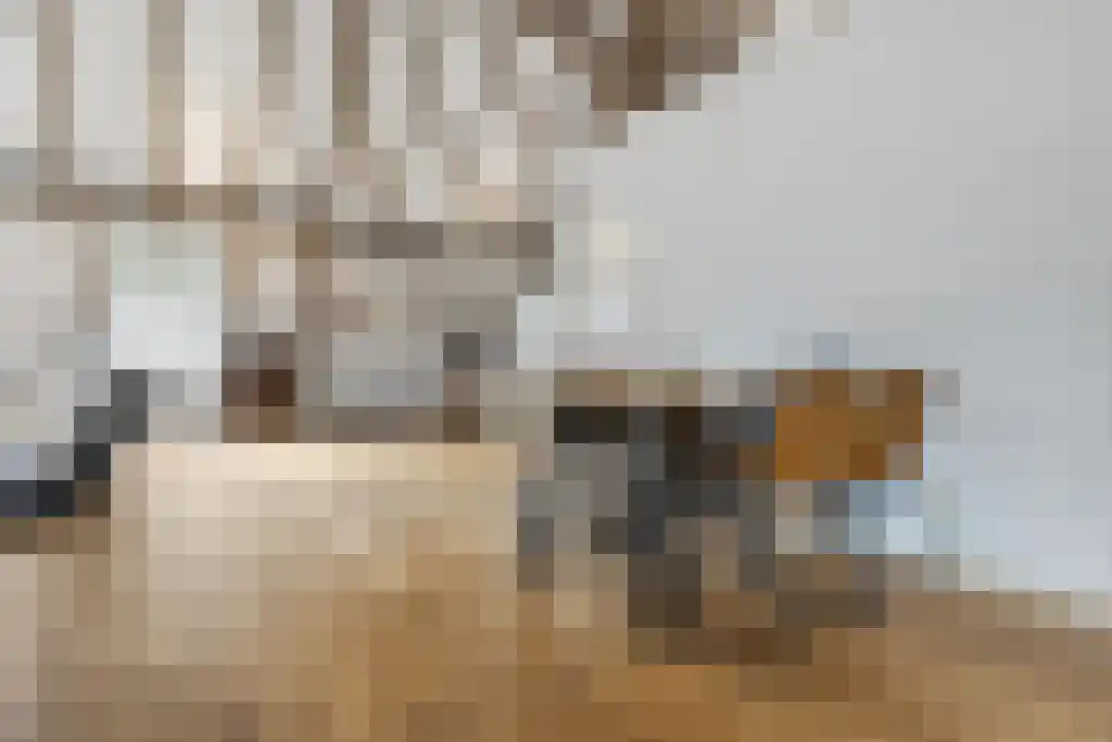 Korte Loostraat 58 Huissen thumbnail 34