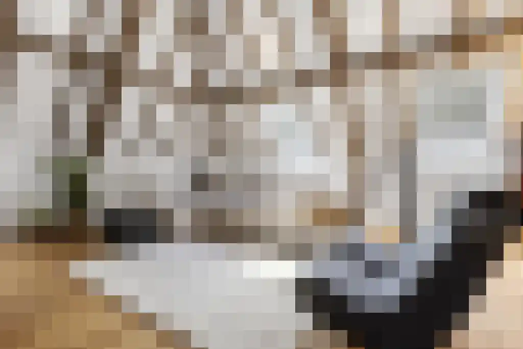 Korte Loostraat 58 Huissen thumbnail 35