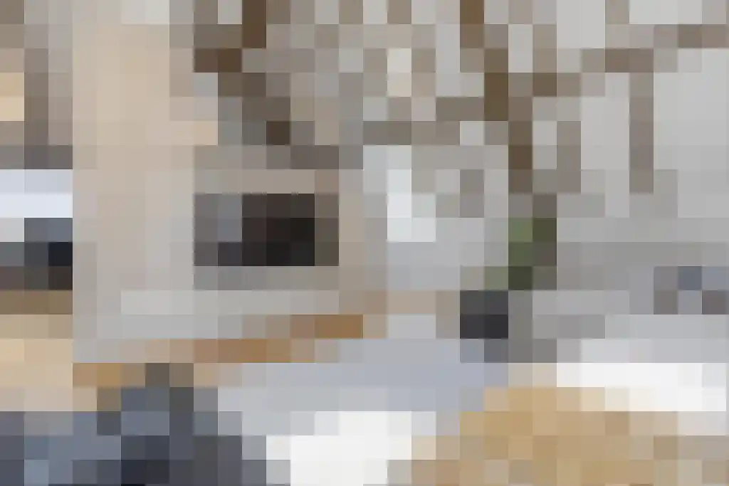 Korte Loostraat 58 Huissen thumbnail 37