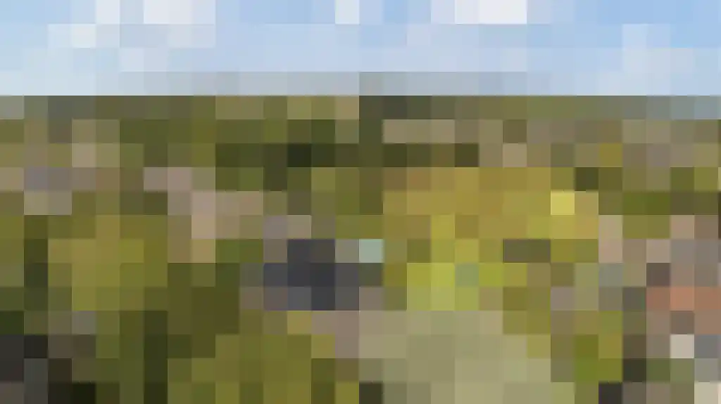 Korte Loostraat 58 Huissen thumbnail 39