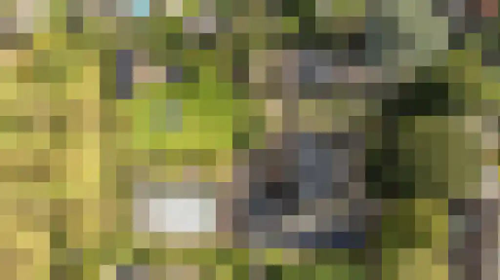 Korte Loostraat 58 Huissen thumbnail 40