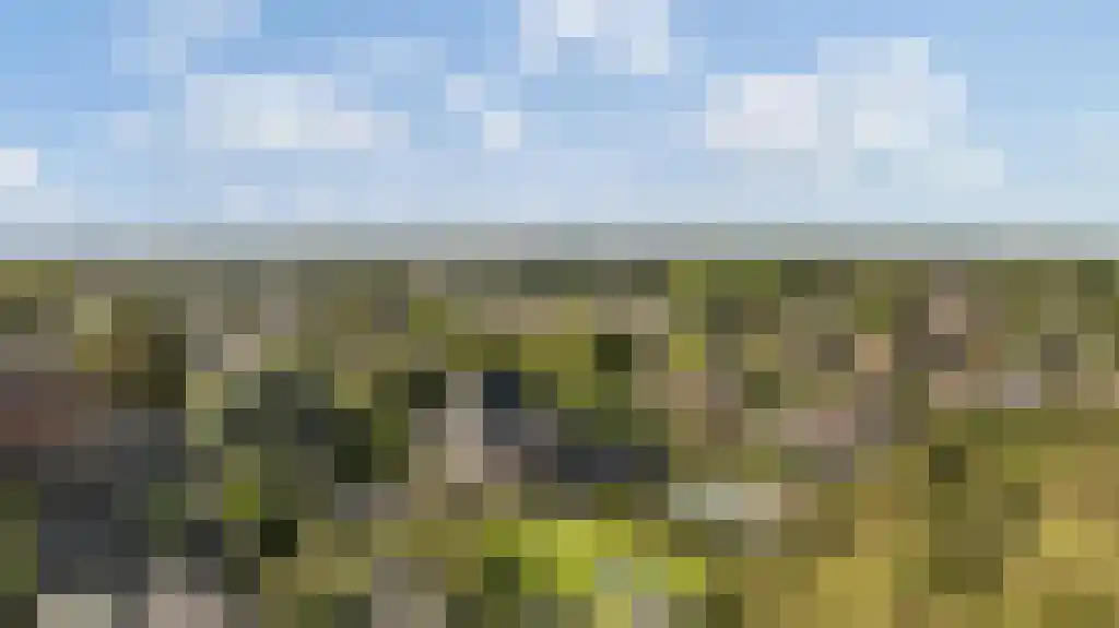 Korte Loostraat 58 Huissen thumbnail 41
