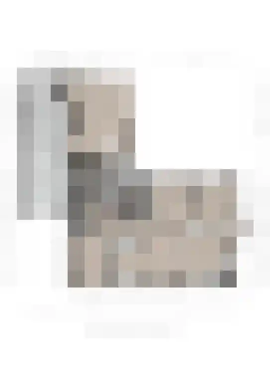 Korte Loostraat 58 Huissen thumbnail 42