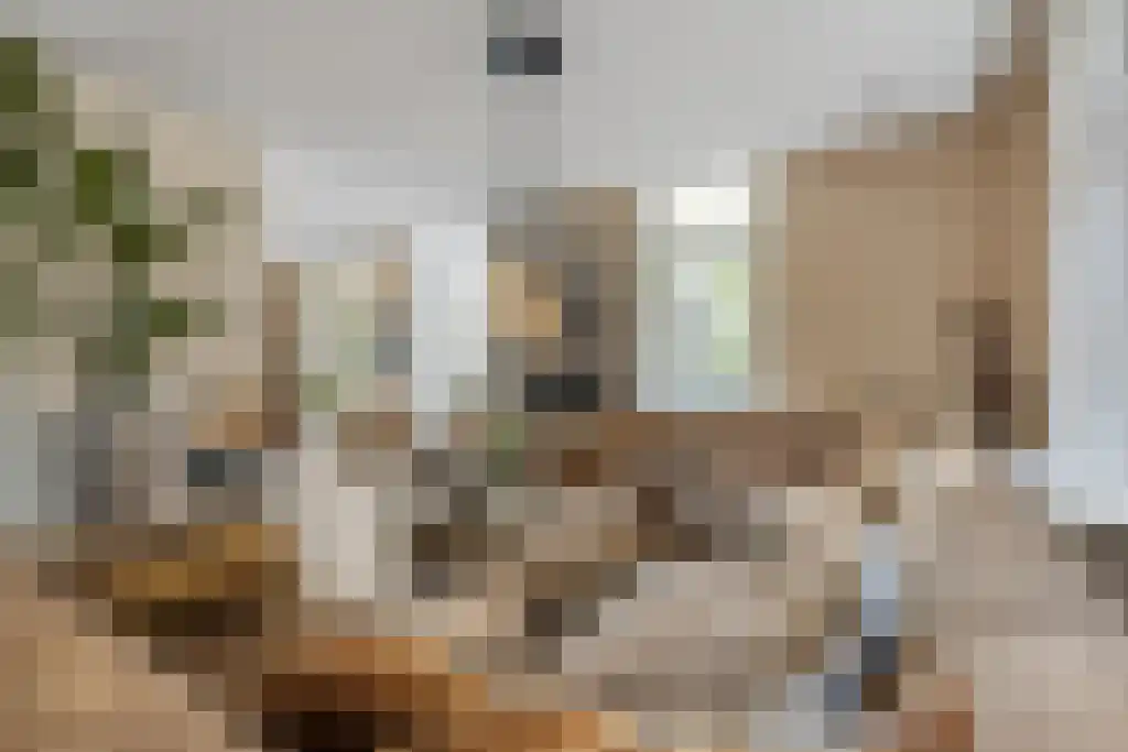Korte Loostraat 58 Huissen thumbnail 5