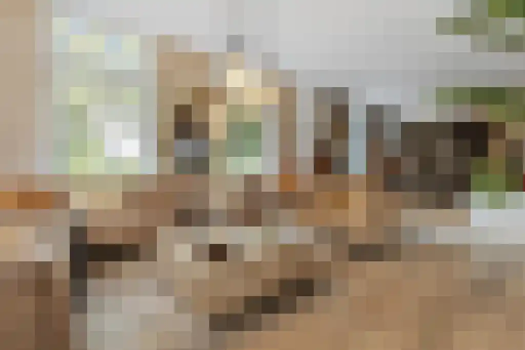 Korte Loostraat 58 Huissen thumbnail 7