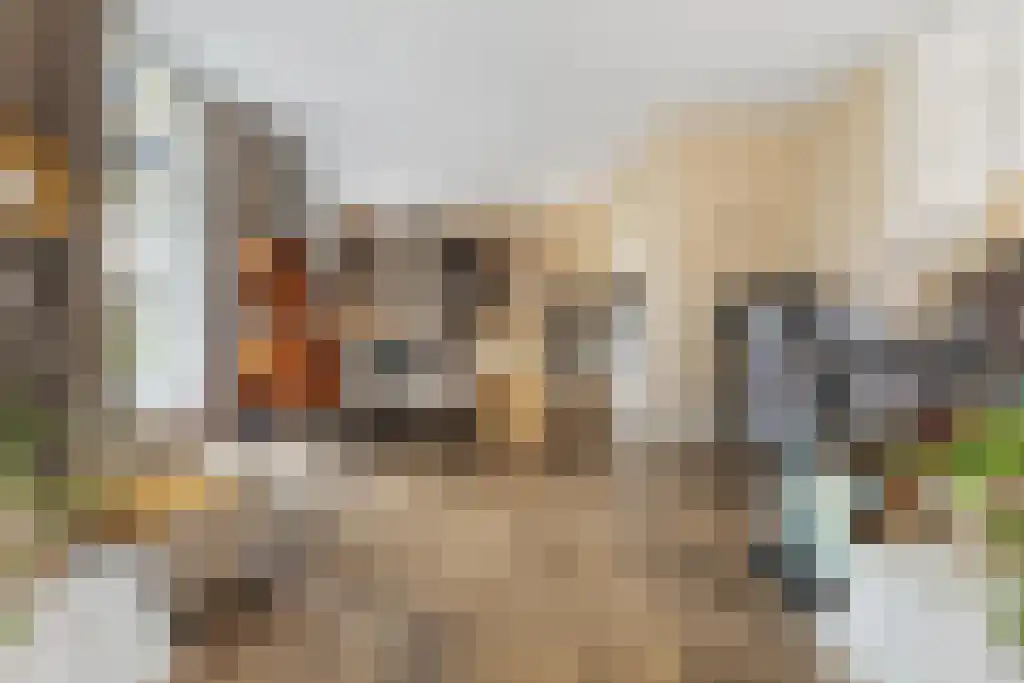 Korte Loostraat 58 Huissen thumbnail 8