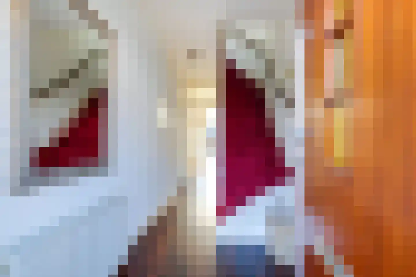 Korte Lyceumstraat 3 Alkmaar thumbnail 10