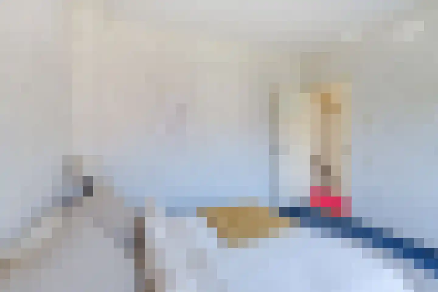Korte Lyceumstraat 3 Alkmaar thumbnail 36