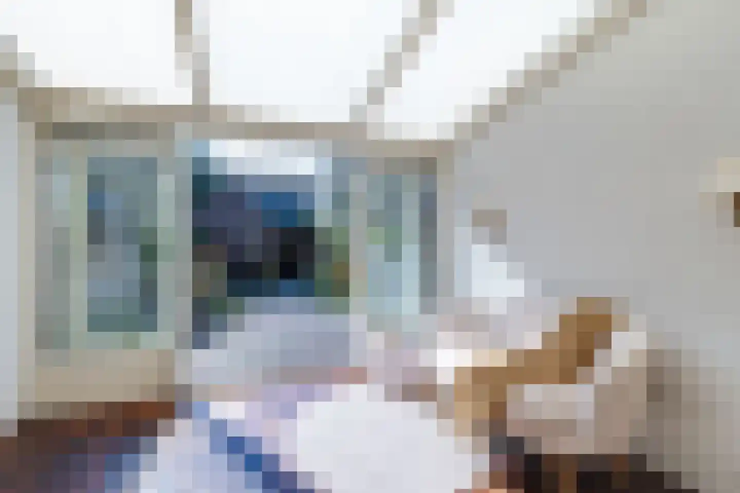 Korte Lyceumstraat 3 Alkmaar thumbnail 4