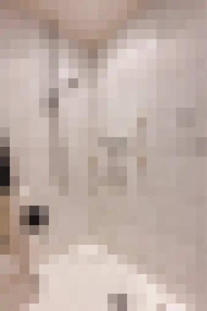 Korte Maar 4 Kerkrade thumbnail 15