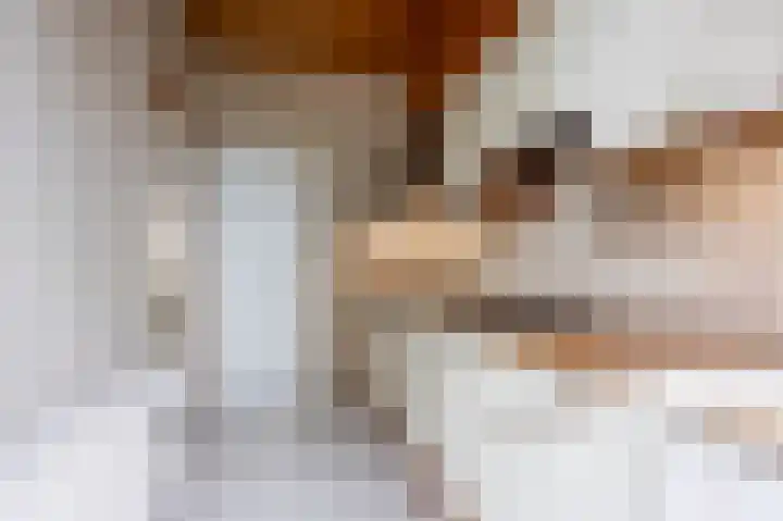 Korte Maar 4 Kerkrade thumbnail 7