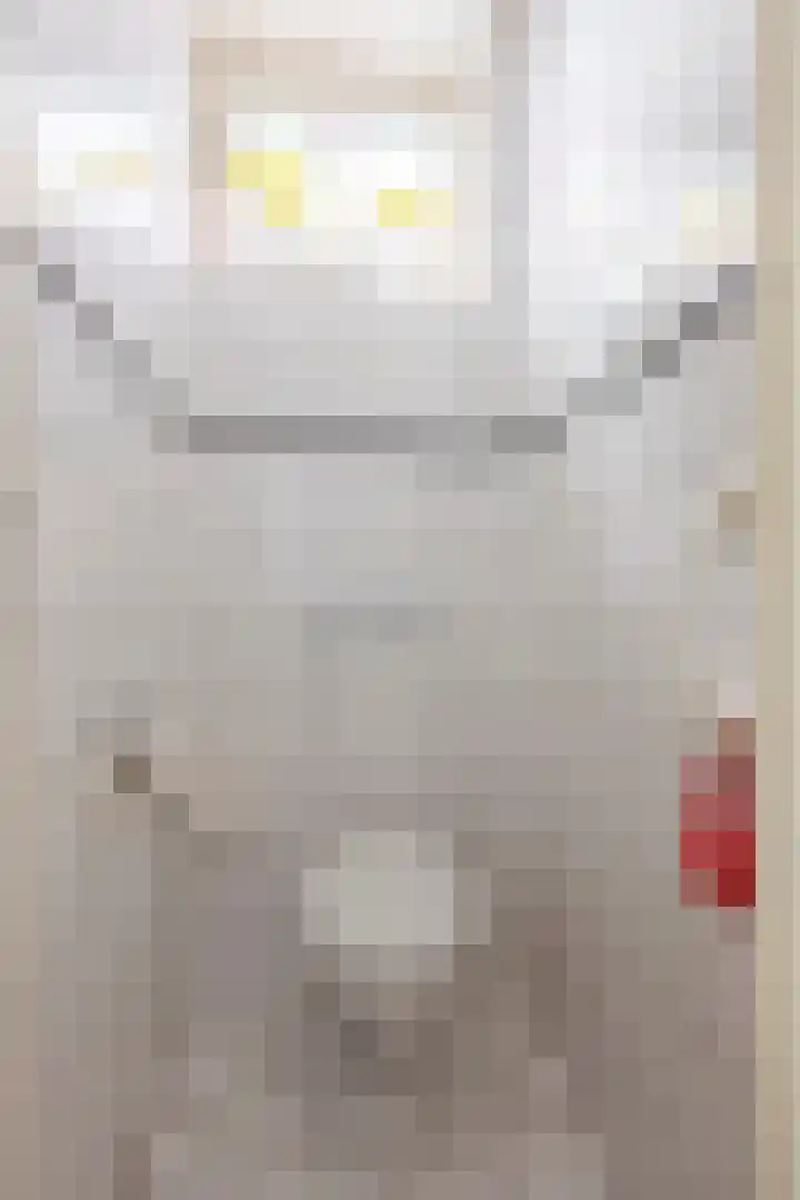 Korte Maar 4 Kerkrade thumbnail 8