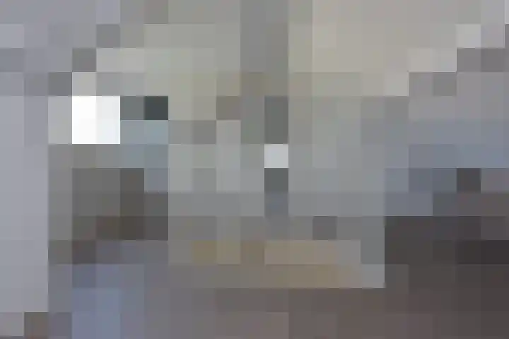 Korte Meentweg 17 C Woerdense Verlaat thumbnail 23