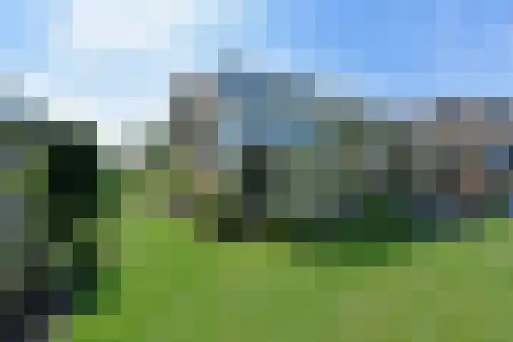 Korte Meentweg 17 C Woerdense Verlaat thumbnail 26