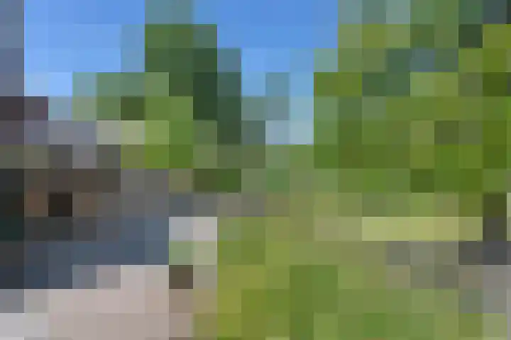 Korte Meentweg 17 C Woerdense Verlaat thumbnail 28