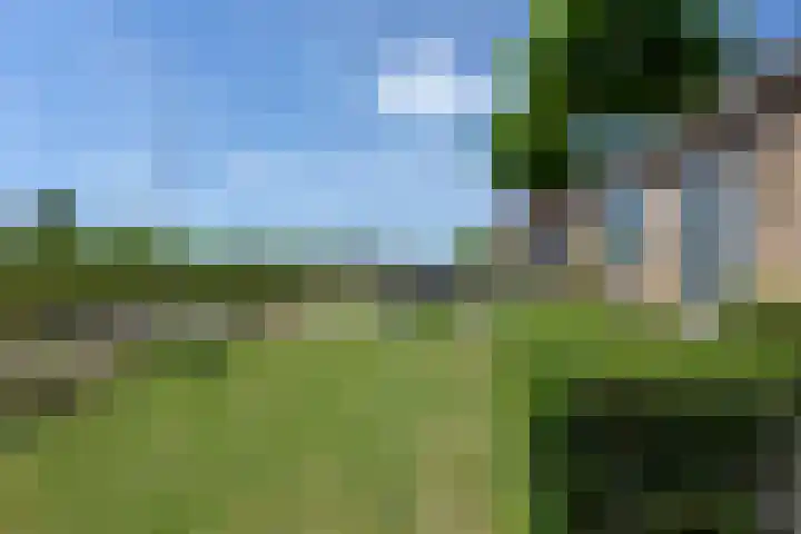 Korte Meentweg 17 C Woerdense Verlaat thumbnail 35