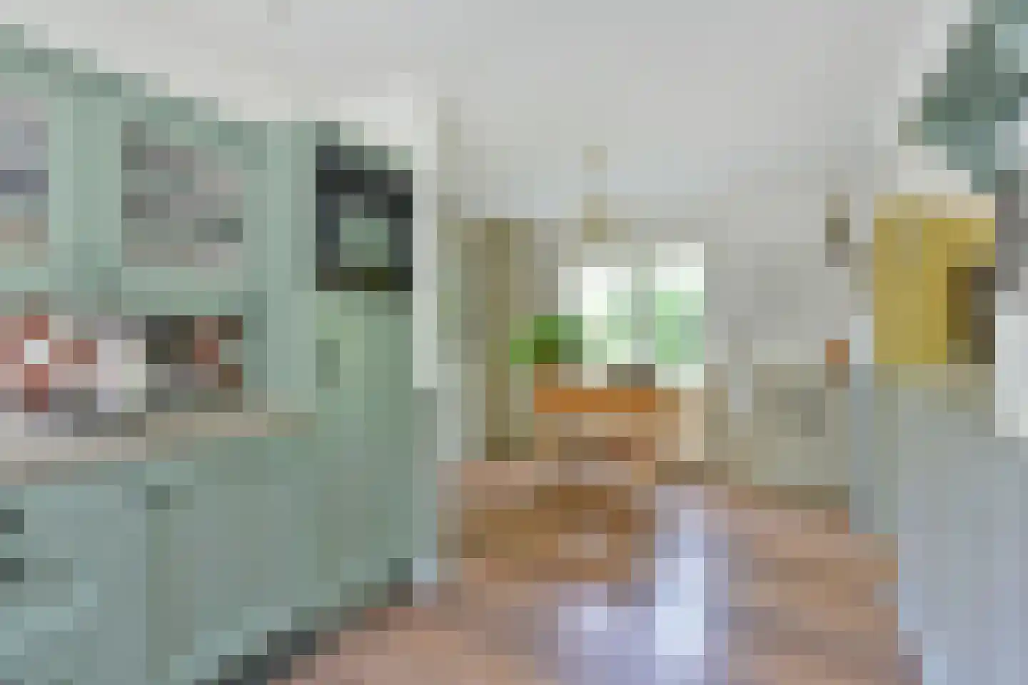 Korte Meentweg 26 Woerdense Verlaat thumbnail 10