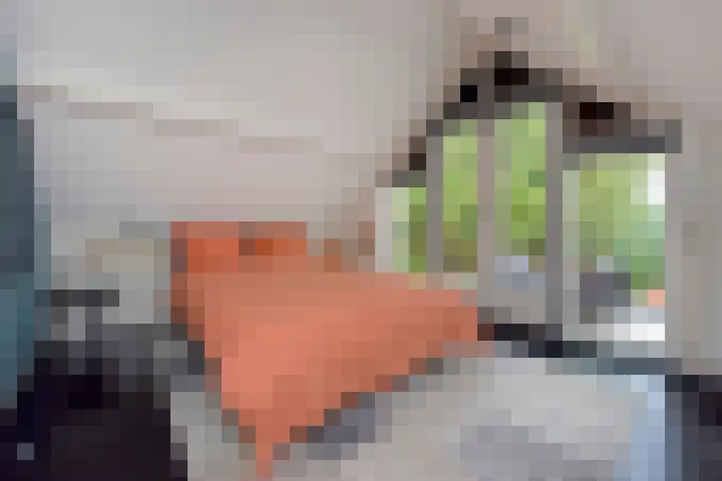 Korte Meentweg 26 Woerdense Verlaat thumbnail 19