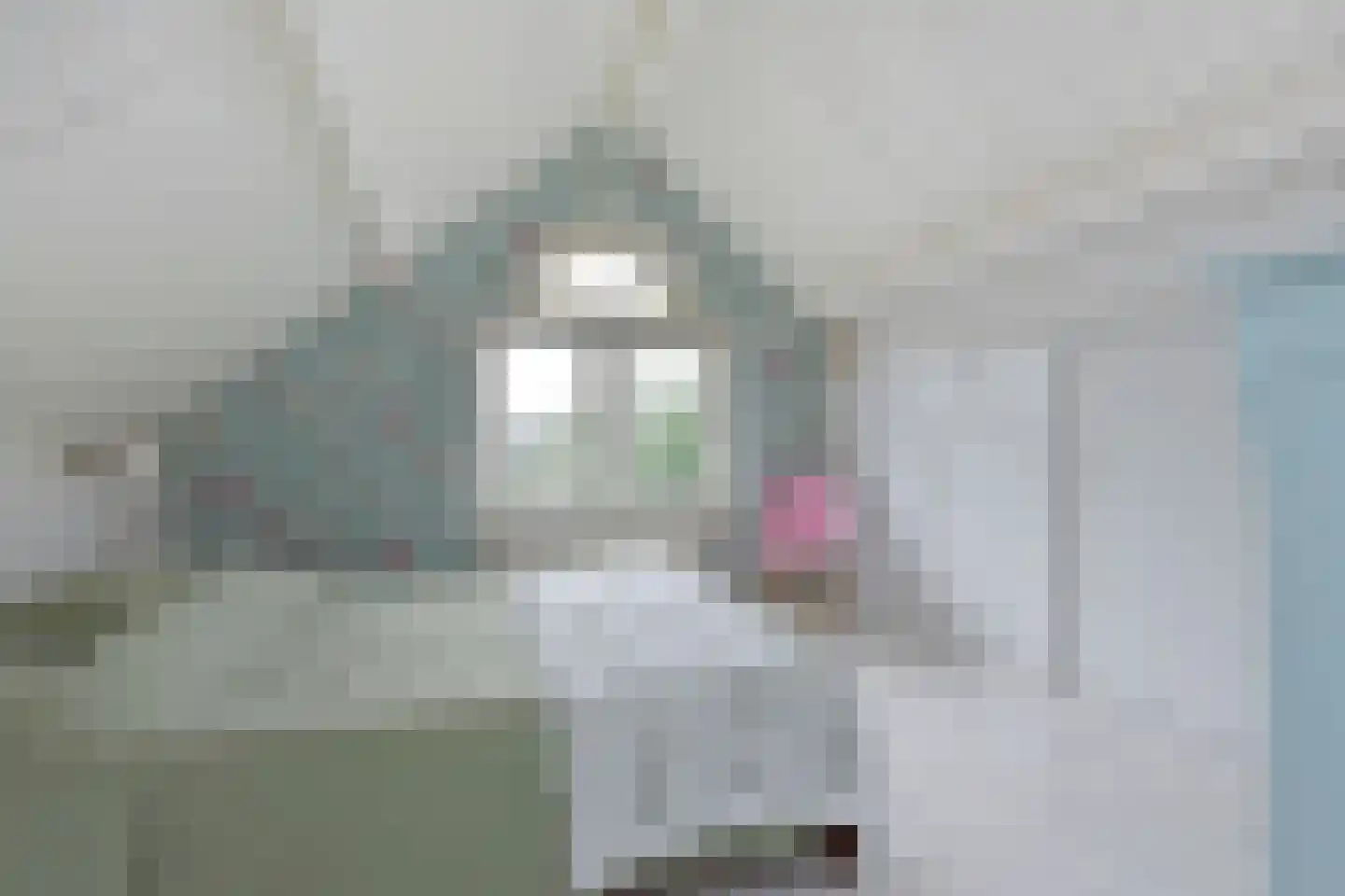 Korte Meentweg 26 Woerdense Verlaat thumbnail 22