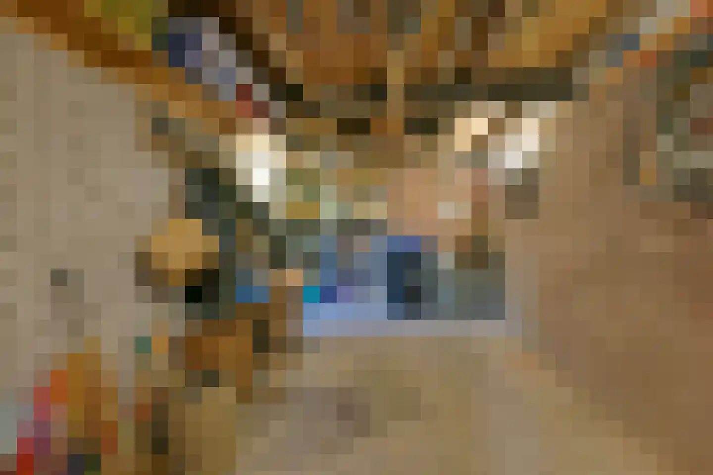 Korte Meentweg 26 Woerdense Verlaat thumbnail 38