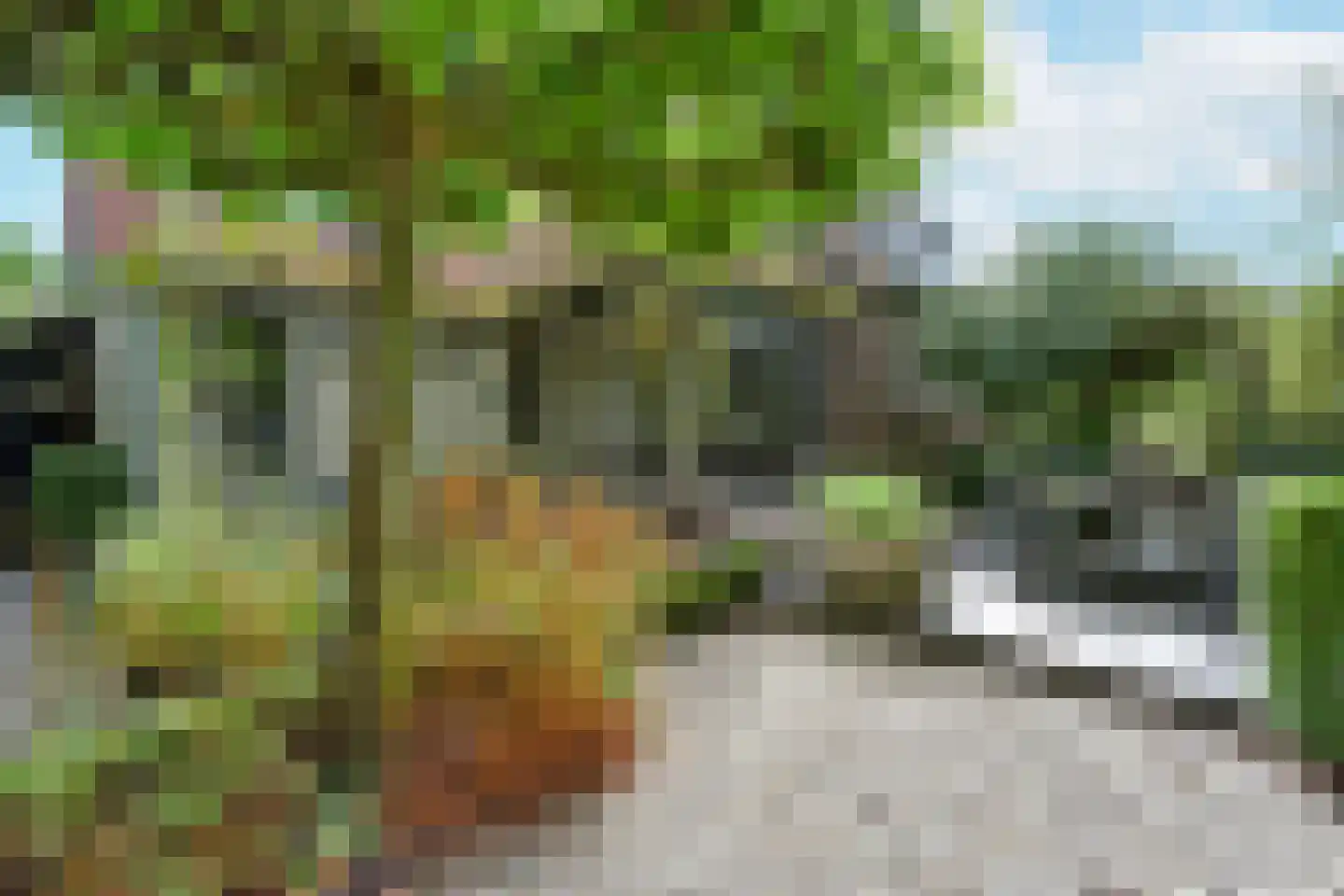 Korte Meentweg 26 Woerdense Verlaat thumbnail 42