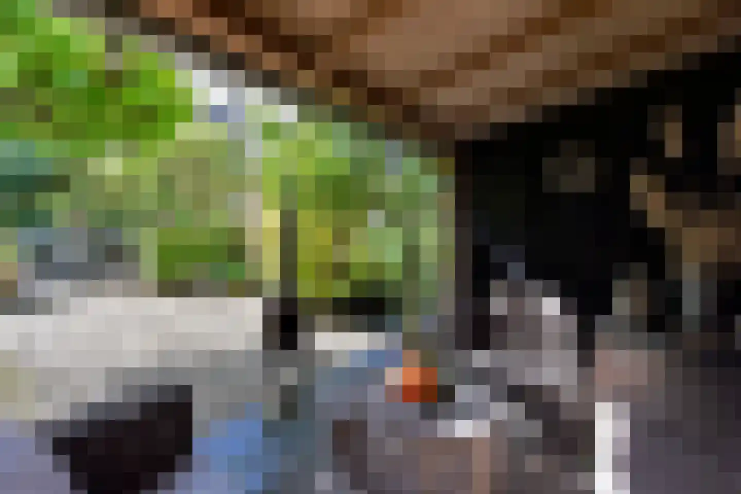 Korte Meentweg 26 Woerdense Verlaat thumbnail 43