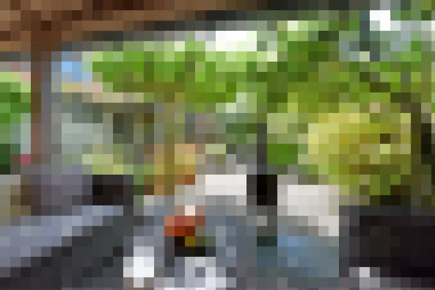 Korte Meentweg 26 Woerdense Verlaat thumbnail 44