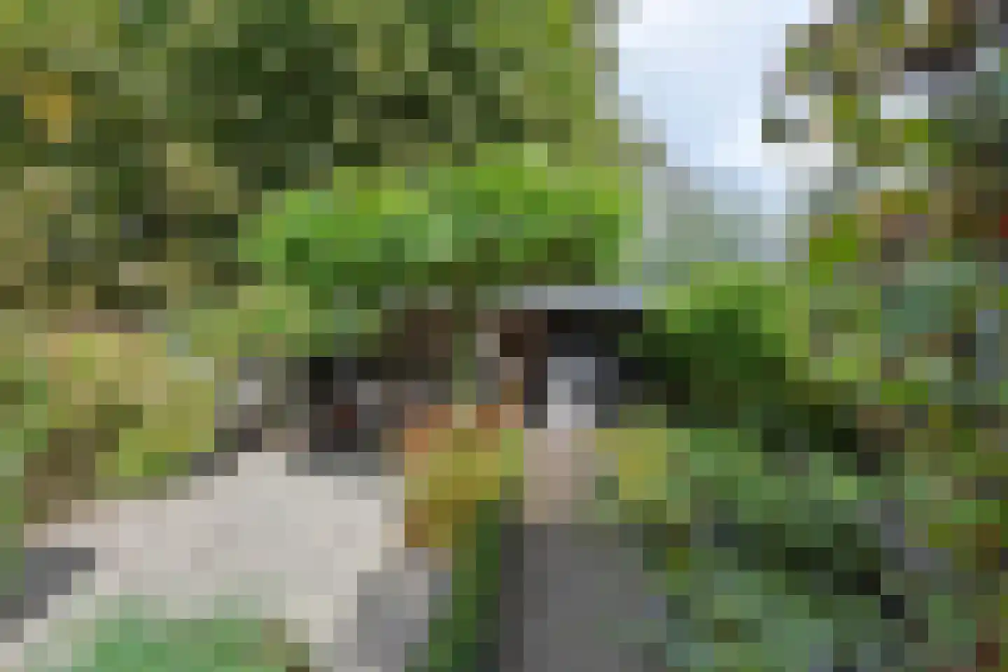 Korte Meentweg 26 Woerdense Verlaat thumbnail 47