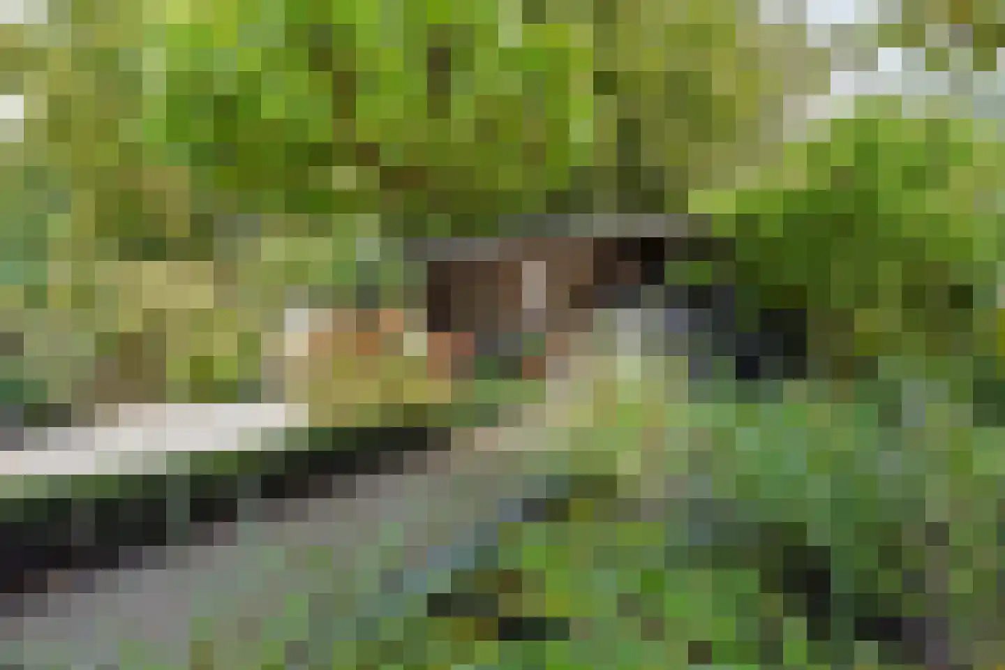 Korte Meentweg 26 Woerdense Verlaat thumbnail 48