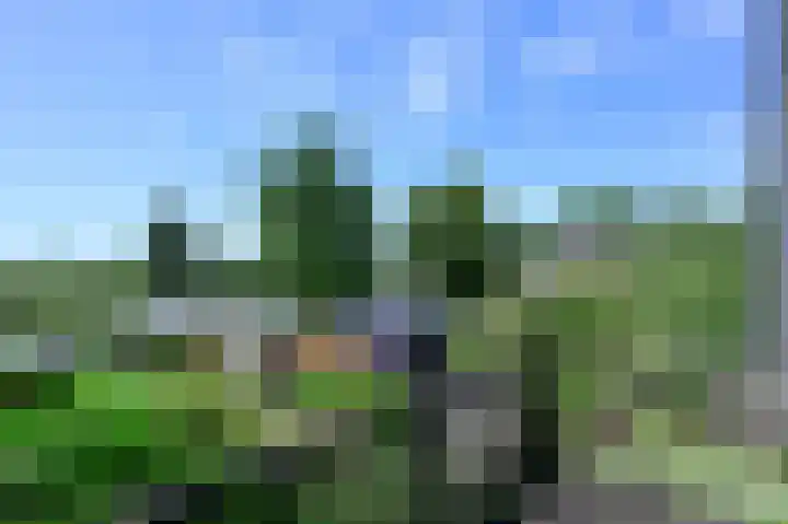 Korte Meentweg 27 Woerdense Verlaat thumbnail 14