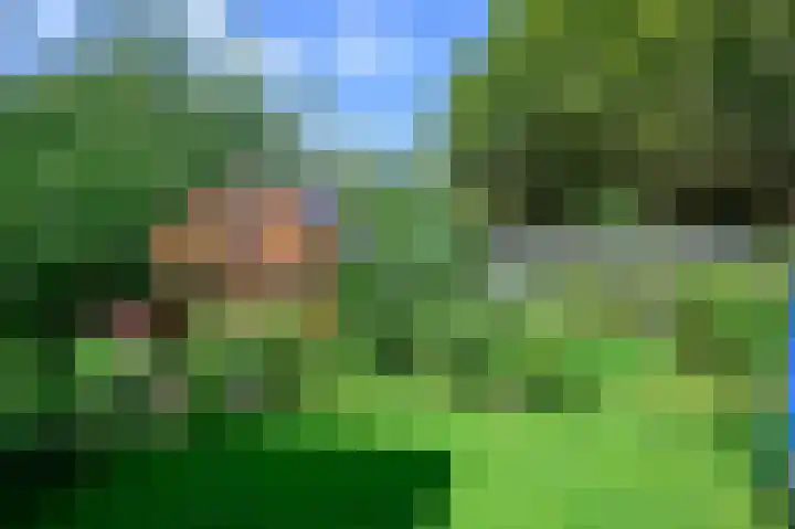 Korte Meentweg 27 Woerdense Verlaat thumbnail 26