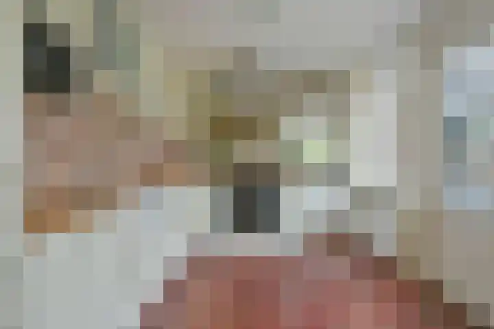 Korte Meentweg 7 Woerdense Verlaat thumbnail 11