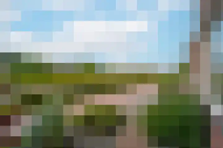 Korte Meentweg 7 Woerdense Verlaat thumbnail 28